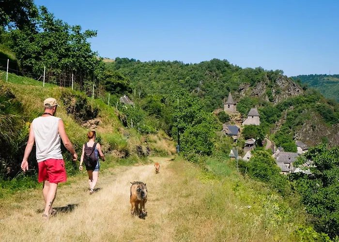 Camping Levezou 4p 2bdrms Airconpremium Millau